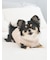 【CAT&DOG】【販路限定商品】ベビモコネップdogプルオーバー