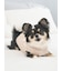 【CAT&DOG】【販路限定商品】ベビモコネップdogプルオーバー