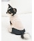 【CAT&DOG】【販路限定商品】ベビモコネップdogプルオーバー