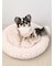 【CAT&DOG】【販路限定商品】ベビモコネップdogプルオーバー