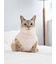 【CAT&DOG】【販路限定商品】ベビモコネップdogプルオーバー