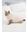 【CAT&DOG】【販路限定商品】ベビモコネップdogプルオーバー