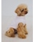 【CAT&DOG】【販路限定商品】ベビモコネップdogプルオーバー