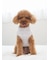 【CAT&DOG】【販路限定商品】ベビモコネップdogプルオーバー