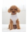 【CAT&DOG】【販路限定商品】ベビモコネップdogプルオーバー