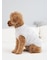 【CAT&DOG】【販路限定商品】ベビモコネップdogプルオーバー