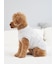 【CAT&DOG】【販路限定商品】ベビモコネップdogプルオーバー