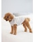 【CAT&DOG】【販路限定商品】ベビモコネップdogプルオーバー