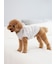 【CAT&DOG】【販路限定商品】ベビモコネップdogプルオーバー