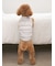 【CAT&DOG】【販路限定商品】ベビモコネップdogプルオーバー