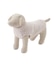 【CAT&DOG】【販路限定商品】ベビモコネップdogプルオーバー