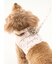 【CAT&DOG】【販路限定商品】モチーフ柄リード