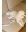 【CAT&DOG】【販路限定商品】モチーフ柄リード