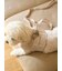 【CAT&DOG】【販路限定商品】モチーフ柄リード