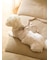 【CAT&DOG】【販路限定商品】モチーフ柄リード