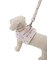 【CAT&DOG】【販路限定商品】モチーフ柄リード
