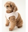 【CAT&DOG】【販路限定商品】モチーフ柄ハーネス