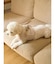 【CAT&DOG】【販路限定商品】モチーフ柄ハーネス