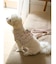【CAT&DOG】【販路限定商品】モチーフ柄ハーネス