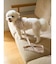 【CAT&DOG】【販路限定商品】モチーフ柄ハーネス