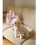 【CAT&DOG】【販路限定商品】モチーフ柄ハーネス