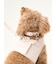 【CAT&DOG】【販路限定商品】リード