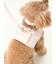 【CAT&DOG】【販路限定商品】リード