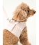 【CAT&DOG】【販路限定商品】リード