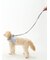 【CAT&DOG】【販路限定商品】リード