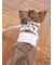 【CAT&DOG】【販路限定商品】リード