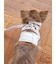 【CAT&DOG】【販路限定商品】リード