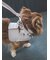 【CAT&DOG】【販路限定商品】リード