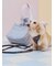 【CAT&DOG】【販路限定商品】リード