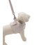 【CAT&DOG】【販路限定商品】リード