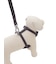 【CAT&DOG】【販路限定商品】リード