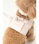 【CAT&DOG】【販路限定商品】リード