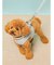 【CAT&DOG】【販路限定商品】リード