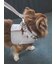【CAT&DOG】【販路限定商品】リード