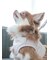 【CAT&DOG】【販路限定商品】リード