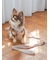 【CAT&DOG】【販路限定商品】リード