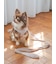 【CAT&DOG】【販路限定商品】リード