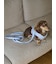 【CAT&DOG】【販路限定商品】リード