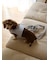 【CAT&DOG】【販路限定商品】リード