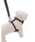 【CAT&DOG】【販路限定商品】リード