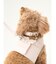 【CAT&DOG】【販路限定商品】ハーネス