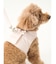 【CAT&DOG】【販路限定商品】ハーネス