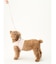 【CAT&DOG】【販路限定商品】ハーネス