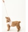 【CAT&DOG】【販路限定商品】ハーネス