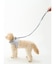 【CAT&DOG】【販路限定商品】ハーネス