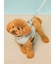 【CAT&DOG】【販路限定商品】ハーネス